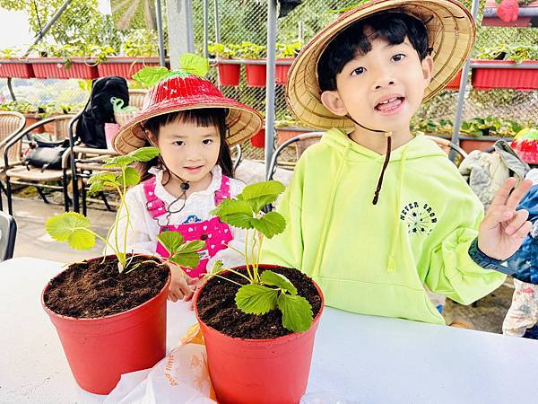 ★台北親子景點推薦★內湖草莓園-碧山路49號*2024年草莓 ★台北親子景點推薦★內湖草莓園-碧山路49號*2024年草莓