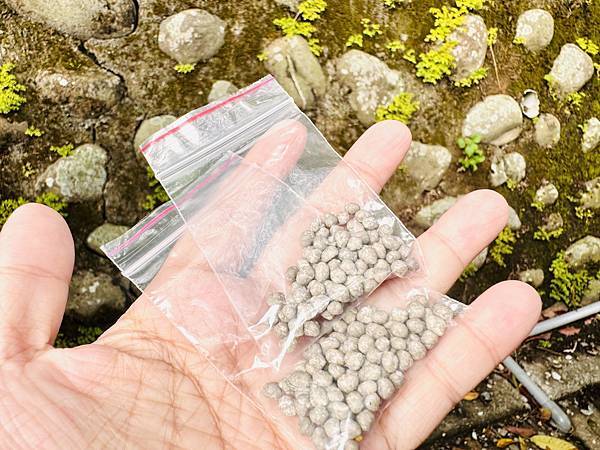 ★台北親子景點推薦★內湖草莓園-碧山路49號*2024年草莓 ★台北親子景點推薦★內湖草莓園-碧山路49號*2024年草莓