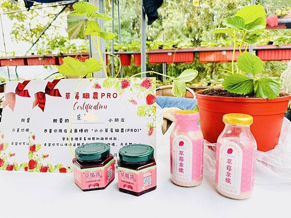 ★台北親子景點推薦★內湖草莓園-碧山路49號*2024年草莓 ★台北親子景點推薦★內湖草莓園-碧山路49號*2024年草莓