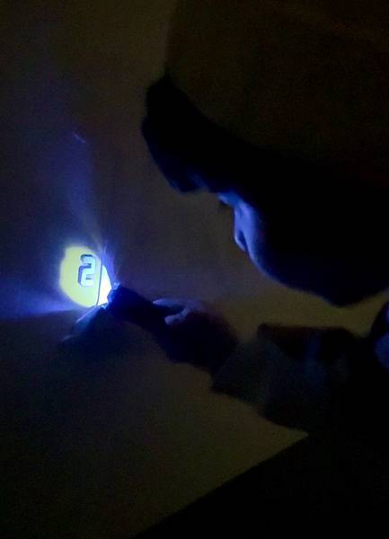 ★台北親子展覽推薦★我是霸王龍20週年展來了!重現繪本場景, ★台北親子展覽推薦★我是霸王龍20週年展來了!重現繪本場景,