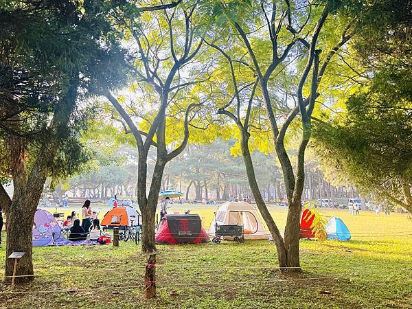 ★桃園★國立中央大學*免費的親子景點好去處,優美的園區、大草 ★桃園★國立中央大學*免費的親子景點好去處,優美的園區、大草