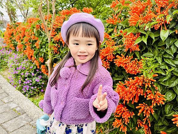 ★新北●鶯歌*最美拍的『鶯歌永吉公園』,擁有雙色櫻花、炮仗花 ★新北●鶯歌*最美拍的『鶯歌永吉公園』,擁有雙色櫻花、炮仗花