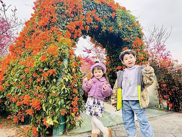 ★新北●鶯歌*最美拍的『鶯歌永吉公園』,擁有雙色櫻花、炮仗花 ★新北●鶯歌*最美拍的『鶯歌永吉公園』,擁有雙色櫻花、炮仗花
