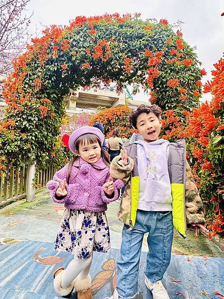 ★新北●鶯歌*最美拍的『鶯歌永吉公園』,擁有雙色櫻花、炮仗花 ★新北●鶯歌*最美拍的『鶯歌永吉公園』,擁有雙色櫻花、炮仗花