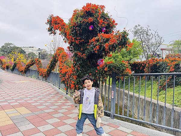 ★新北●鶯歌*最美拍的『鶯歌永吉公園』,擁有雙色櫻花、炮仗花 ★新北●鶯歌*最美拍的『鶯歌永吉公園』,擁有雙色櫻花、炮仗花