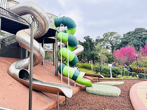 ★新北●鶯歌*最美拍的『鶯歌永吉公園』,擁有雙色櫻花、炮仗花 ★新北●鶯歌*最美拍的『鶯歌永吉公園』,擁有雙色櫻花、炮仗花