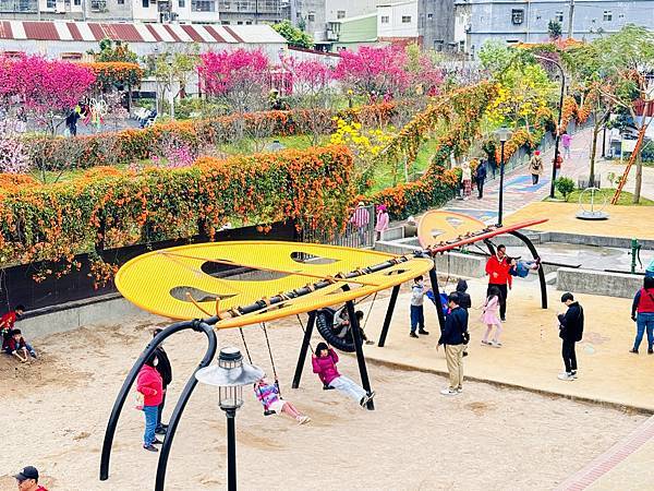 ★新北●鶯歌*最美拍的『鶯歌永吉公園』,擁有雙色櫻花、炮仗花 ★新北●鶯歌*最美拍的『鶯歌永吉公園』,擁有雙色櫻花、炮仗花