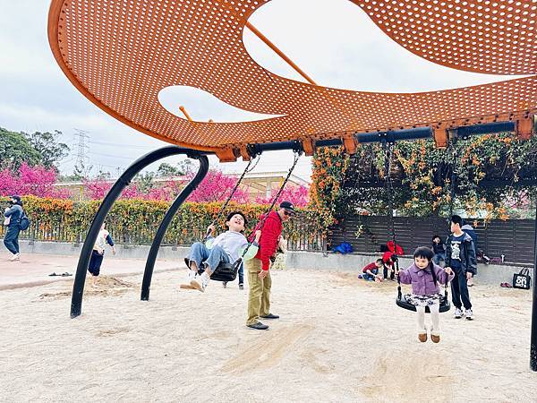 ★新北●鶯歌*最美拍的『鶯歌永吉公園』,擁有雙色櫻花、炮仗花 ★新北●鶯歌*最美拍的『鶯歌永吉公園』,擁有雙色櫻花、炮仗花