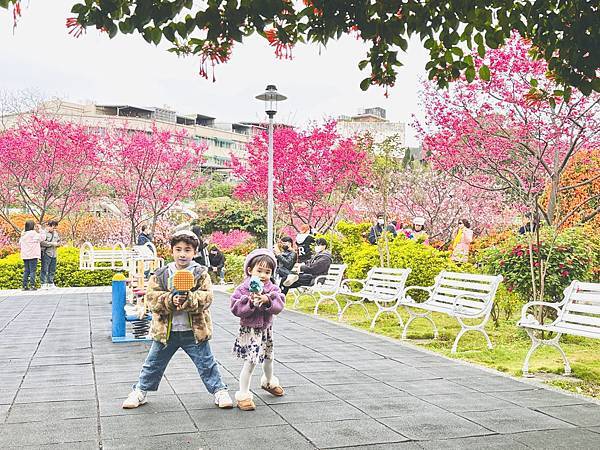 ★新北●鶯歌*最美拍的『鶯歌永吉公園』,擁有雙色櫻花、炮仗花 ★新北●鶯歌*最美拍的『鶯歌永吉公園』,擁有雙色櫻花、炮仗花