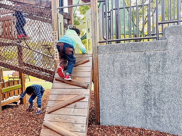 ★台北●大安區★隱藏在大安森林公園內的『森林之王兒童遊戲場』 ★台北●大安區★隱藏在大安森林公園內的『森林之王兒童遊戲場』