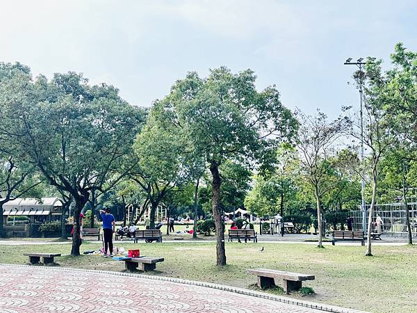 ★台北●大安區★隱藏在大安森林公園內的『森林之王兒童遊戲場』 ★台北●大安區★隱藏在大安森林公園內的『森林之王兒童遊戲場』