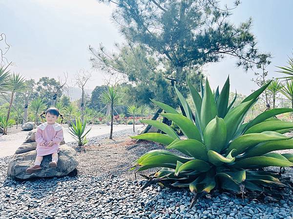 ★南投景點推薦★超美的名間親子生態園區，大面積的彩色遮陽、環