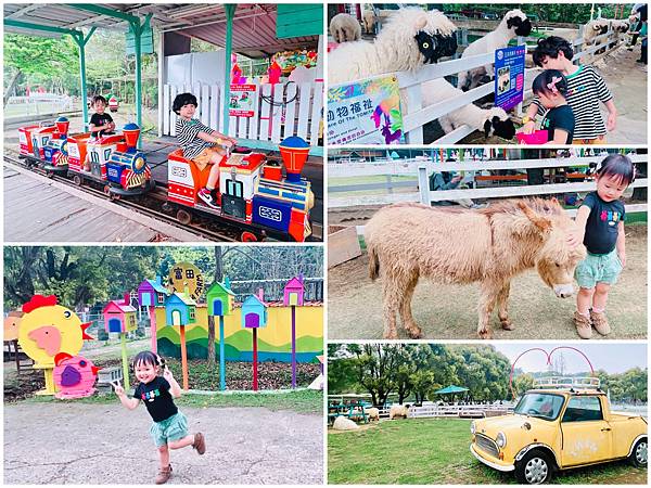 ★桃園●大溪*富田花園農場*近距離互動餵食可愛動物、騎馬體驗 ★桃園●大溪*富田花園農場*近距離互動餵食可愛動物、騎馬體驗