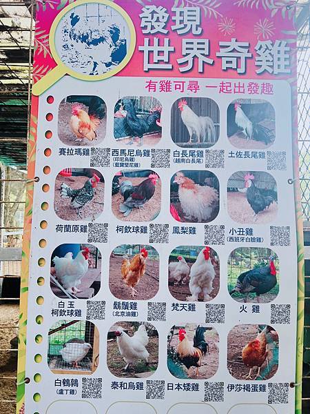 ★桃園●大溪＊富田花園農場＊近距離互動餵食可愛動物、騎馬體驗