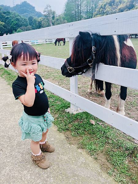 ★桃園●大溪＊富田花園農場＊近距離互動餵食可愛動物、騎馬體驗