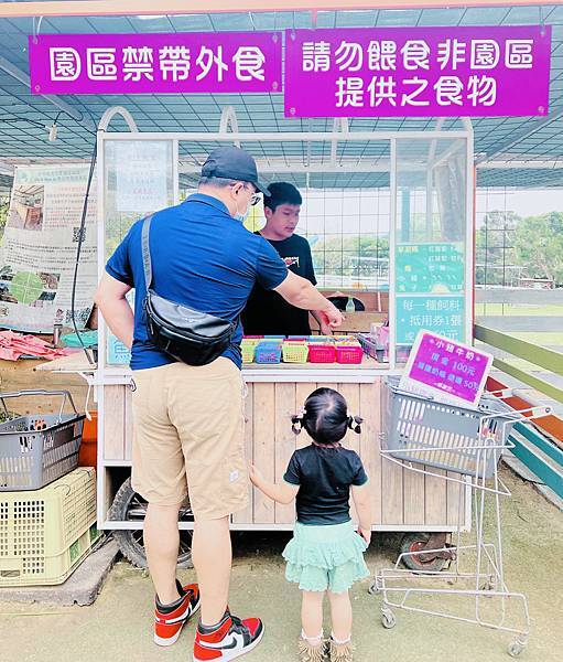 ★桃園●大溪＊富田花園農場＊近距離互動餵食可愛動物、騎馬體驗