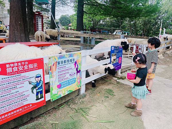 ★桃園●大溪＊富田花園農場＊近距離互動餵食可愛動物、騎馬體驗