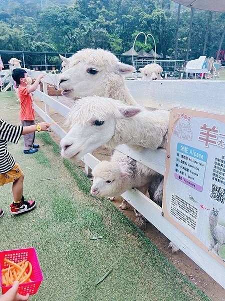 ★桃園●大溪＊富田花園農場＊近距離互動餵食可愛動物、騎馬體驗