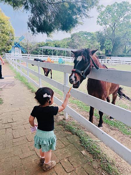 ★桃園●大溪＊富田花園農場＊近距離互動餵食可愛動物、騎馬體驗