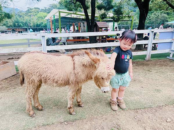 ★桃園●大溪＊富田花園農場＊近距離互動餵食可愛動物、騎馬體驗