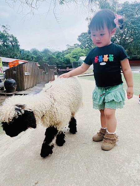 ★桃園●大溪＊富田花園農場＊近距離互動餵食可愛動物、騎馬體驗