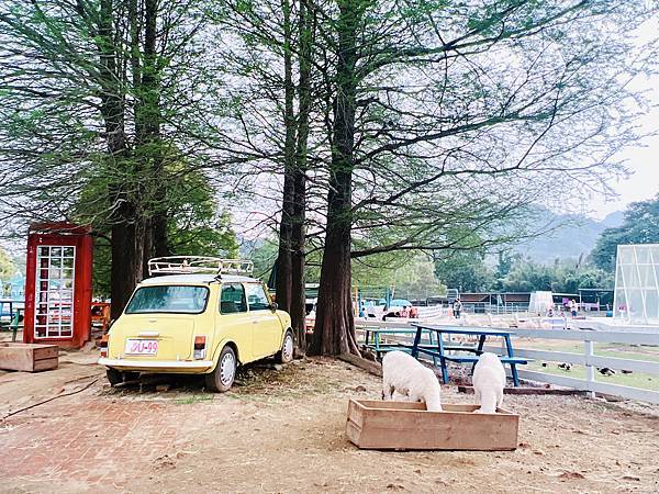 ★桃園●大溪＊富田花園農場＊近距離互動餵食可愛動物、騎馬體驗