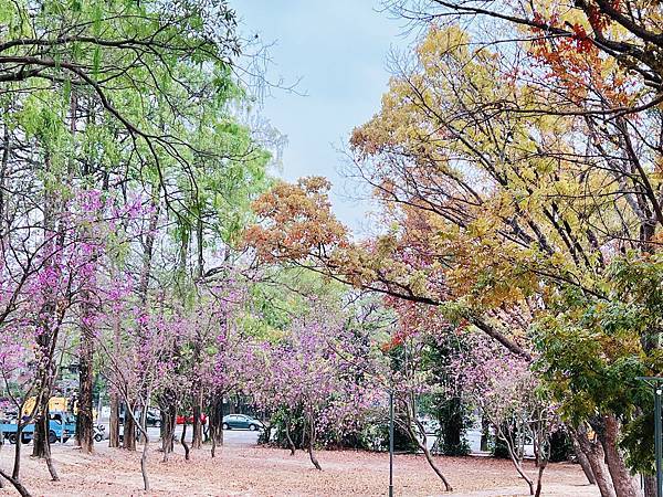 ★雲林親子景點推薦★ ★雲林親子景點推薦★