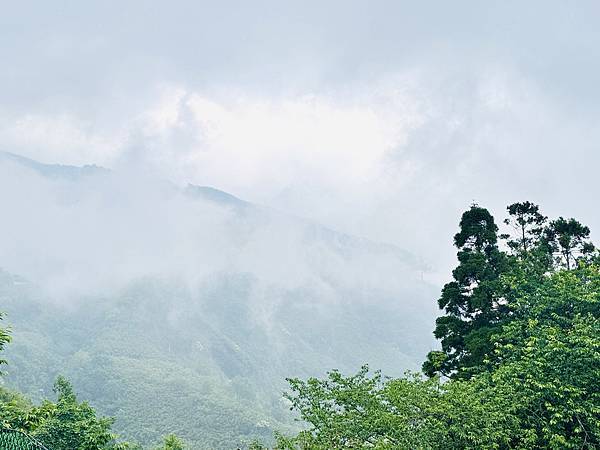 ★新竹露營住宿推薦★蟬說:霧繞,隱藏在雲霧中的療癒系豪華露營 ★新竹露營住宿推薦★蟬說:霧繞,隱藏在雲霧中的療癒系豪華露營