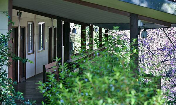 ★新竹露營住宿推薦★蟬說:霧繞,隱藏在雲霧中的療癒系豪華露營 ★新竹露營住宿推薦★蟬說:霧繞,隱藏在雲霧中的療癒系豪華露營