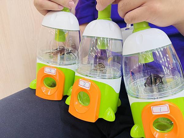 ★桃園親子景點推薦★桃園最新親子館『平鎮一號親子館』,可愛放 ★桃園親子景點推薦★桃園最新親子館『平鎮一號親子館』,可愛放