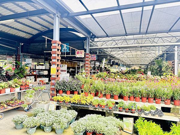 ★彰化親子景點推薦★免門票、免費停車『埔茂花市』超佛心親子景 ★彰化親子景點推薦★免門票、免費停車『埔茂花市』超佛心親子景