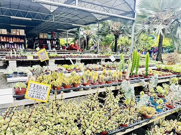 ★彰化親子景點推薦★免門票、免費停車『埔茂花市』超佛心親子景 ★彰化親子景點推薦★免門票、免費停車『埔茂花市』超佛心親子景