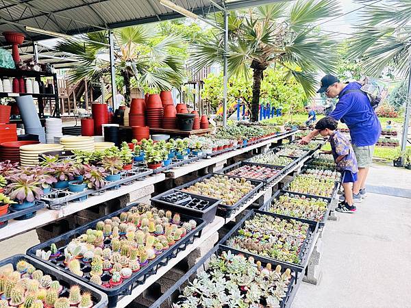 ★彰化親子景點推薦★免門票、免費停車『埔茂花市』超佛心親子景 ★彰化親子景點推薦★免門票、免費停車『埔茂花市』超佛心親子景