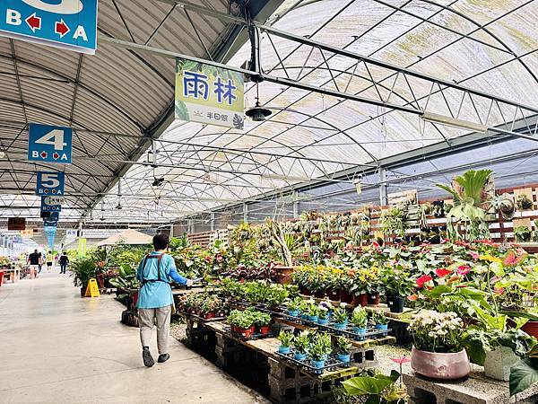 ★彰化親子景點推薦★免門票、免費停車『埔茂花市』超佛心親子景 ★彰化親子景點推薦★免門票、免費停車『埔茂花市』超佛心親子景