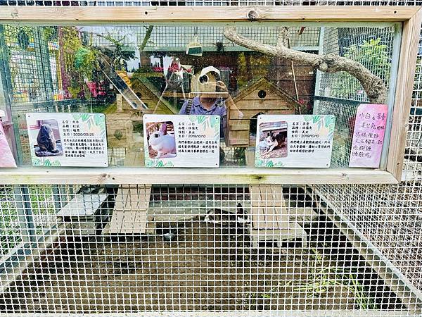 ★彰化親子景點推薦★免門票、免費停車『埔茂花市』超佛心親子景 ★彰化親子景點推薦★免門票、免費停車『埔茂花市』超佛心親子景