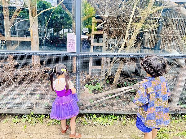 ★彰化親子景點推薦★免門票、免費停車『埔茂花市』超佛心親子景 ★彰化親子景點推薦★免門票、免費停車『埔茂花市』超佛心親子景