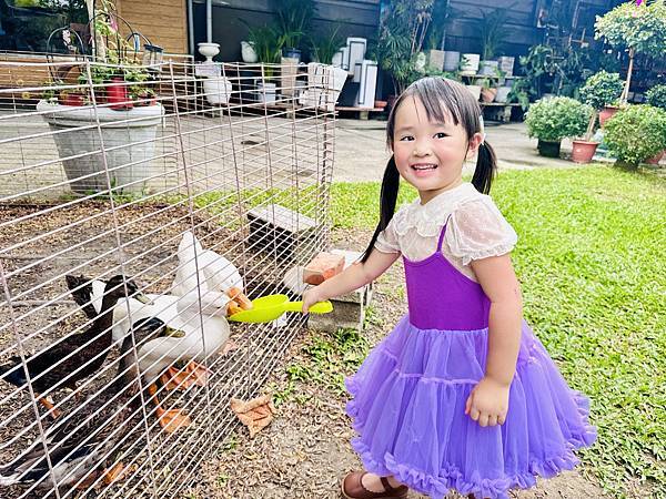 ★彰化親子景點推薦★免門票、免費停車『埔茂花市』超佛心親子景 ★彰化親子景點推薦★免門票、免費停車『埔茂花市』超佛心親子景