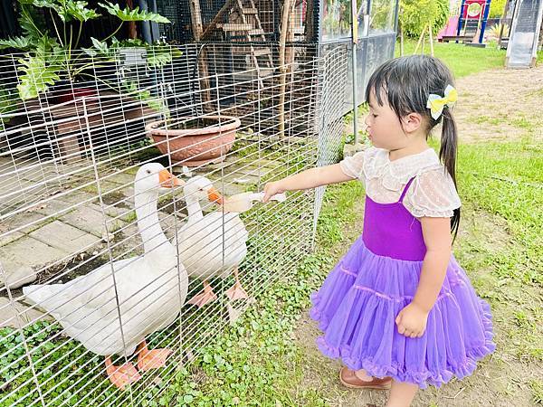 ★彰化親子景點推薦★免門票、免費停車『埔茂花市』超佛心親子景 ★彰化親子景點推薦★免門票、免費停車『埔茂花市』超佛心親子景