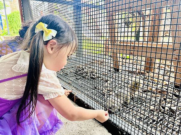 ★彰化親子景點推薦★免門票、免費停車『埔茂花市』超佛心親子景 ★彰化親子景點推薦★免門票、免費停車『埔茂花市』超佛心親子景