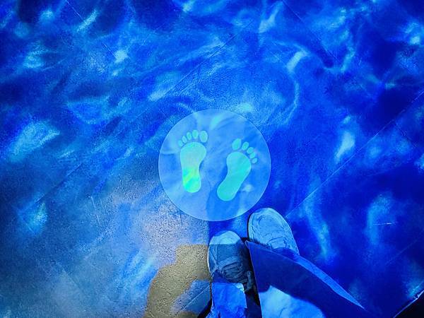 ★台北親子展覽推薦★『侏羅紀X恐龍光影展』2024年暑假恐龍 ★台北親子展覽推薦★『侏羅紀X恐龍光影展』2024年暑假恐龍