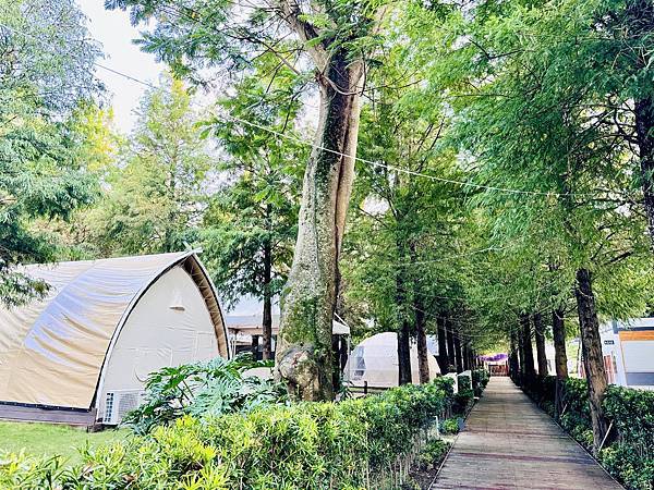 ★南投露營住宿推薦★『水与松森林莊園』免裝備豪華露營,絕美的 ★南投露營住宿推薦★『水与松森林莊園』免裝備豪華露營,絕美的
