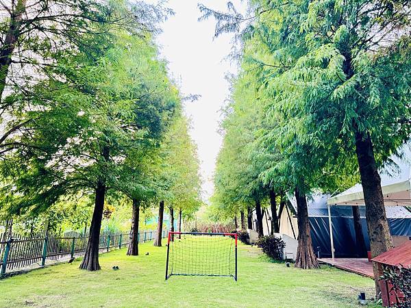 ★南投露營住宿推薦★『水与松森林莊園』免裝備豪華露營,絕美的 ★南投露營住宿推薦★『水与松森林莊園』免裝備豪華露營,絕美的