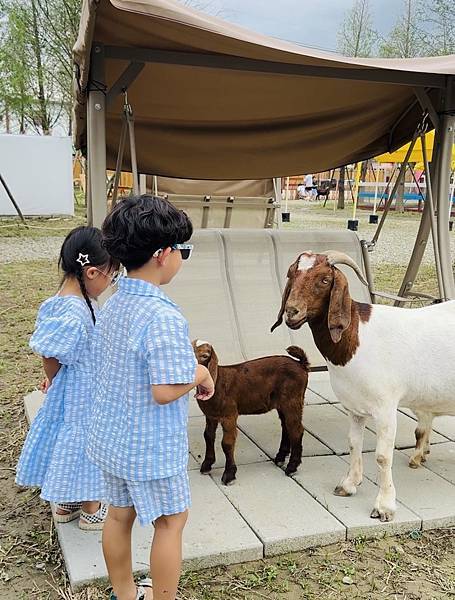 ★嘉義親子景點推薦★嘉義最新親子農場樂園『萌寵村』 ★嘉義親子景點推薦★嘉義最新親子農場樂園『萌寵村』