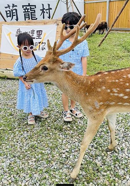 ★嘉義親子景點推薦★嘉義最新親子農場樂園『萌寵村』 ★嘉義親子景點推薦★嘉義最新親子農場樂園『萌寵村』