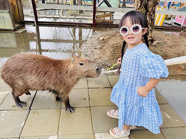 ★嘉義親子景點推薦★嘉義最新親子農場樂園『萌寵村』 ★嘉義親子景點推薦★嘉義最新親子農場樂園『萌寵村』