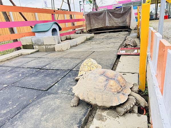 ★嘉義親子景點推薦★嘉義最新親子農場樂園『萌寵村』 ★嘉義親子景點推薦★嘉義最新親子農場樂園『萌寵村』