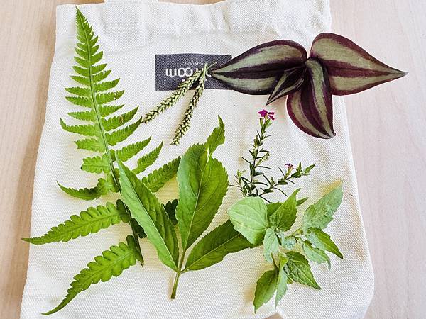 ★新竹露營住宿推薦★蟬說:霧語,超越雲海之上的免裝備豪華露營 ★新竹露營住宿推薦★蟬說:霧語,超越雲海之上的免裝備豪華露營