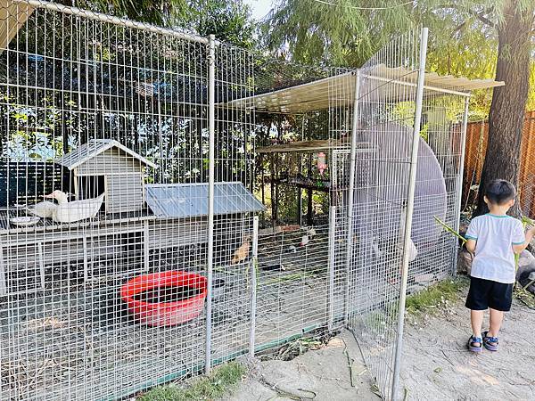 ★彰化親子景點推薦★彰化田尾最新『有樂莊園』百元門票全額抵, ★彰化親子景點推薦★彰化田尾最新『有樂莊園』百元門票全額抵,