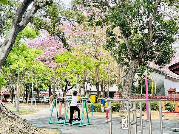 ★嘉義親子景點推薦★超萌青蛙主題『文化公園-諸羅樹蛙遊戲場』 ★嘉義親子景點推薦★超萌青蛙主題『文化公園-諸羅樹蛙遊戲場』