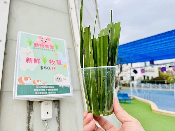 ★彰化親子景點推薦★『琉璃仙境』美照戲水放電一把抓 ★彰化親子景點推薦★『琉璃仙境』美照戲水放電一把抓